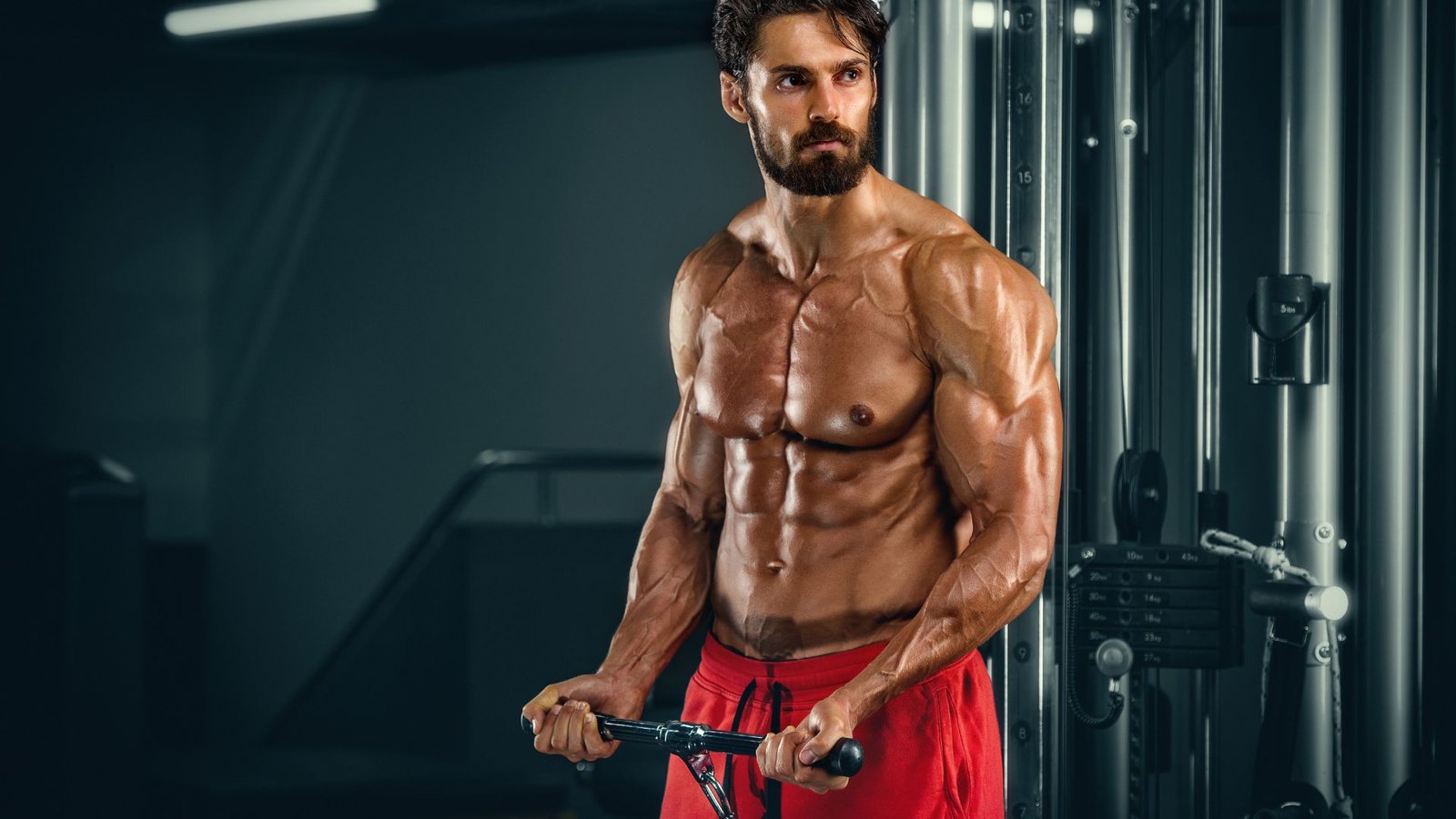 Best Muscle-Building Workouts for Maximum Growth
