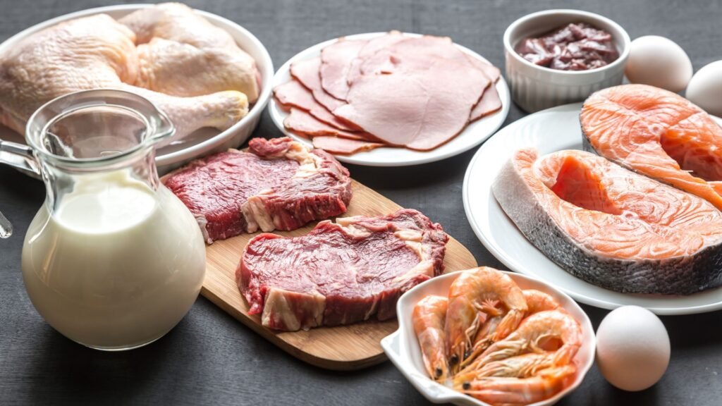 high protein foods for muscle building