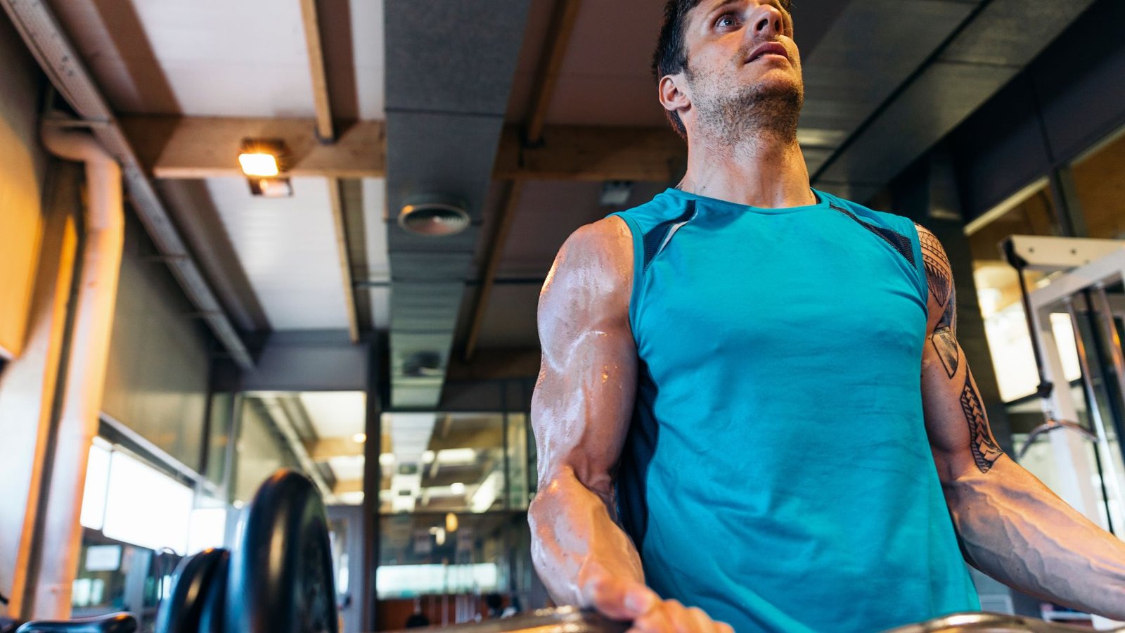 how long does it take to build muscles