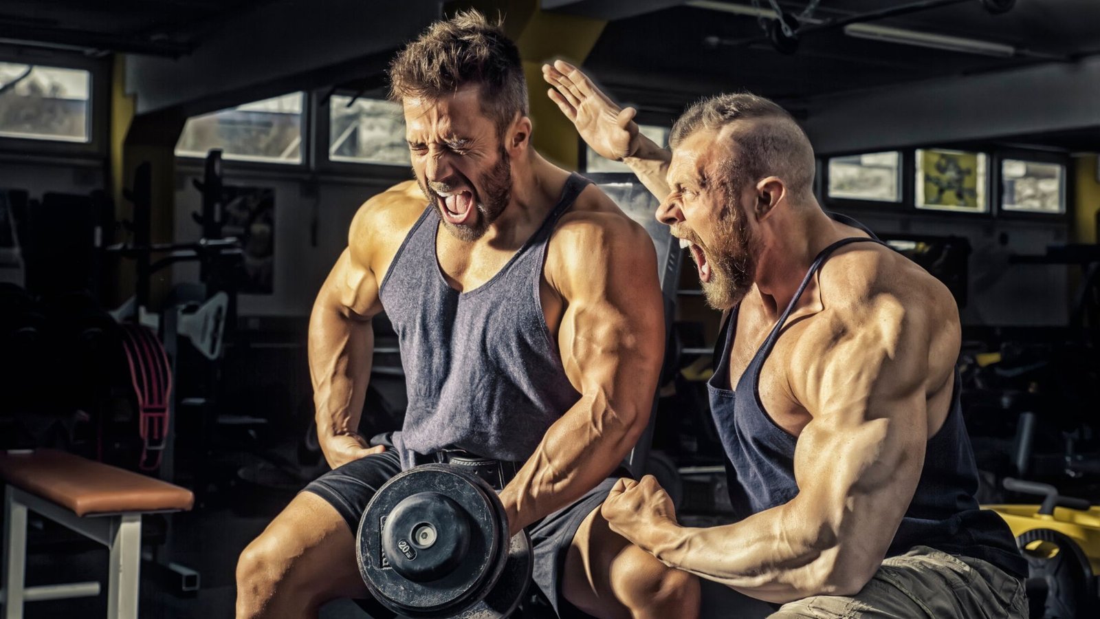 Who Offers Muscle-Building Programs in San Rafael?