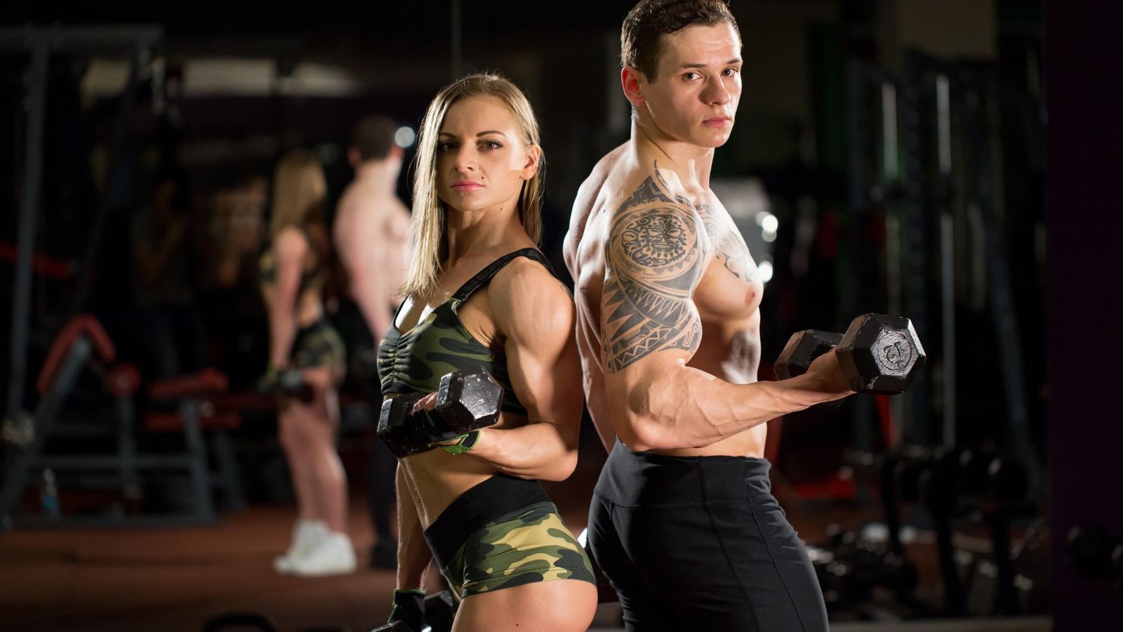 Who Offers Muscle-Building Programs in San Rafael?