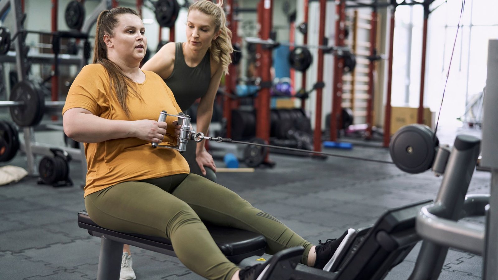 What is the best fat loss program?